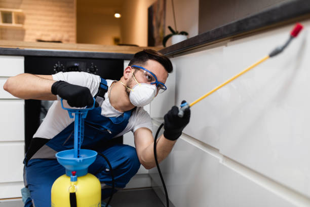 Best Flea Control Services  in Vance, AL