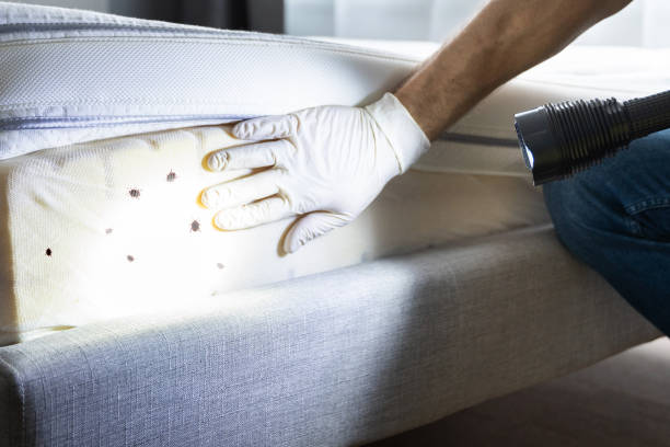 Best Pest Control Near Me  in Vance, AL