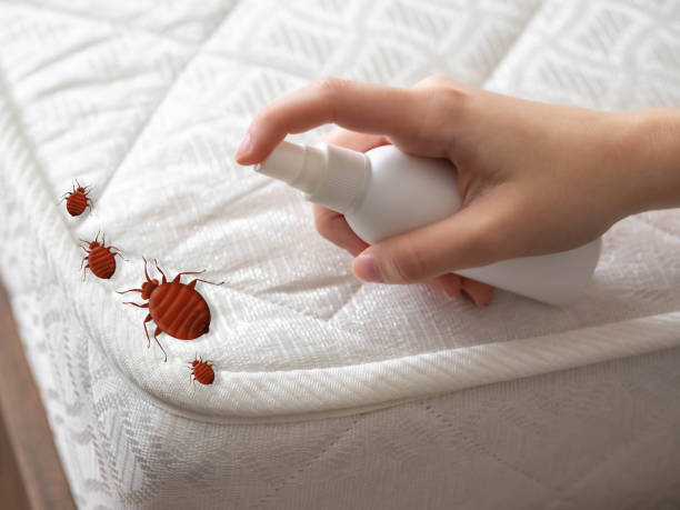 Best Emergency Pest Control  in Vance, AL