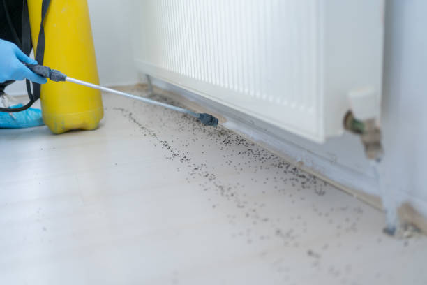 Best Wasp Removal Services  in Vance, AL