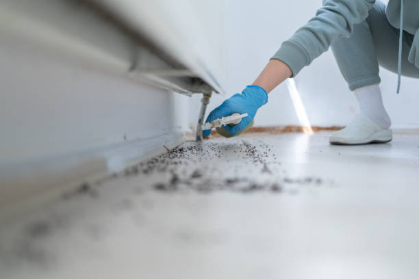 Best Pest Prevention Services  in Vance, AL