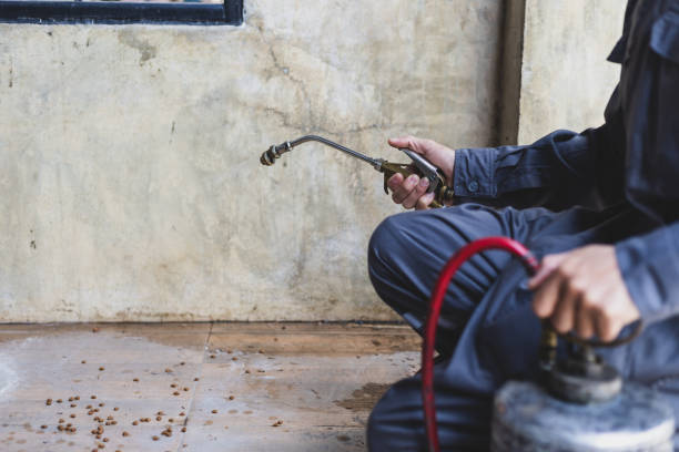 Best Pest Inspection Near Me  in Vance, AL