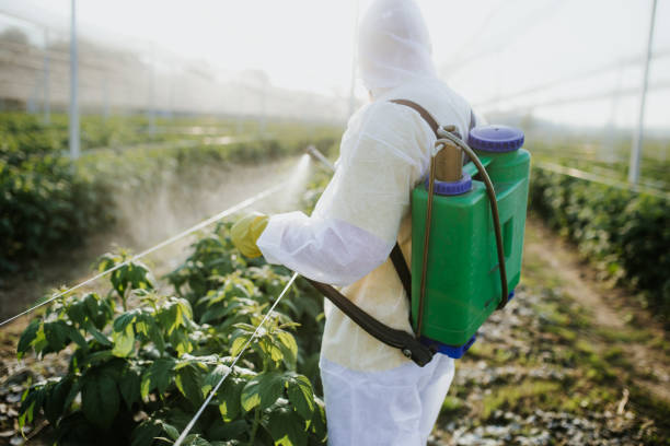 Best Affordable Pest Control Services  in Vance, AL